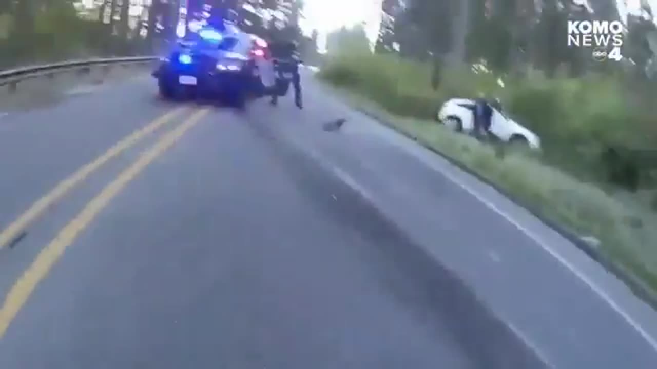 DUI suspect tries to take female deputys gun after car accident in Washington state