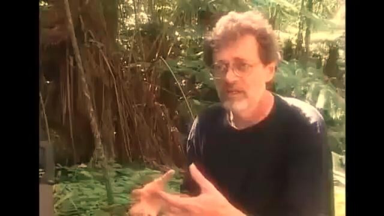 Terence McKenna s Final Interview In The Field
