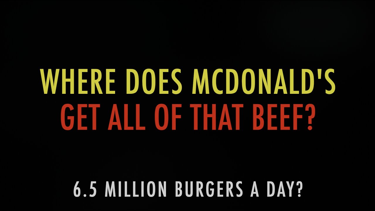 WHERE DOES MCDONALDS GET ALL OF THAT BEEF?
