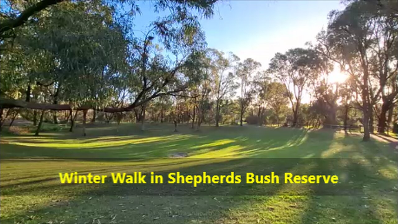 Winter Walk in Shepherds Bush Reserve, Perth. Kangaroo Encounter & Peaceful Nature