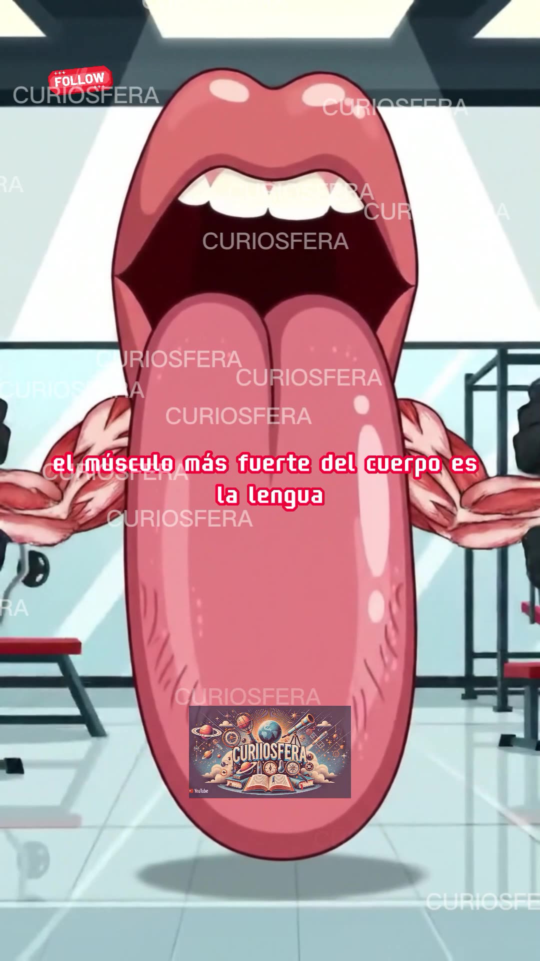 Datos Curiosos del cuerpo humano