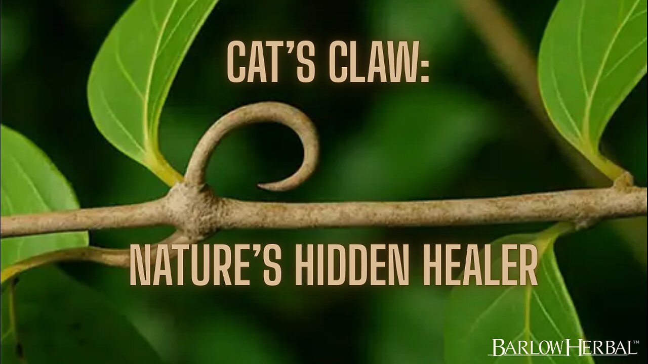 The Health Benefits of Cats Claw (Una de gato)