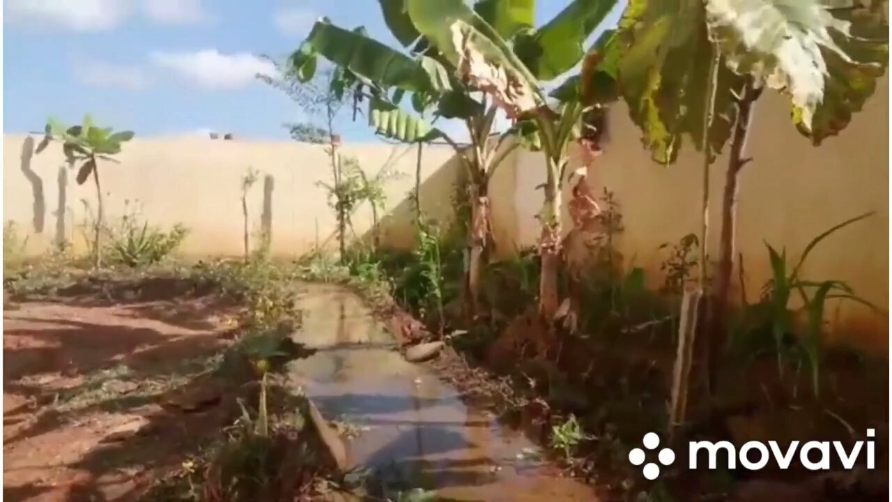 Mini Dam At Home Garden | Trending Politics news Debate Funny Entertainment Trump Elon Musk Ukraine