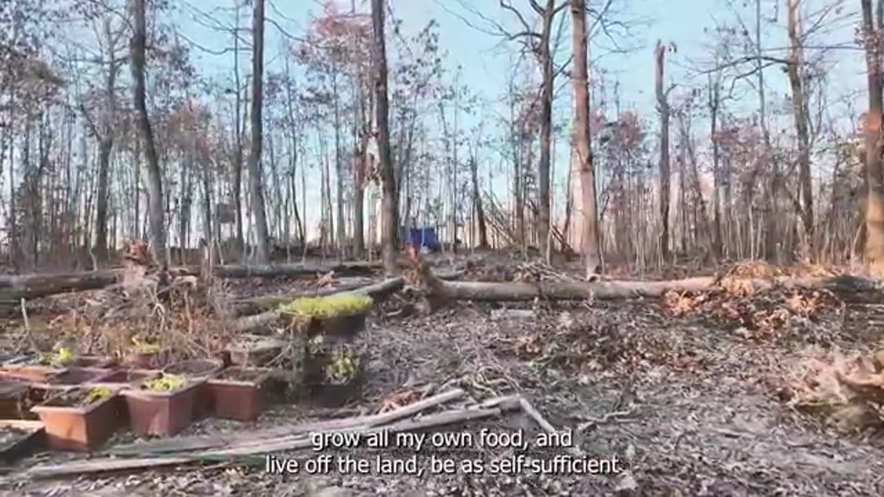 What is Return to the Land?