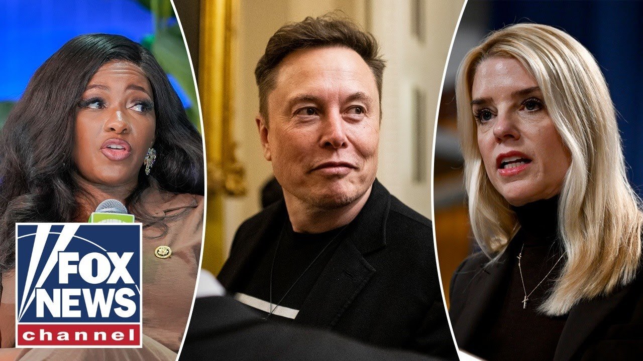 Dem responds to Bondis BOLD warning on Elon Musk: Ridiculous!