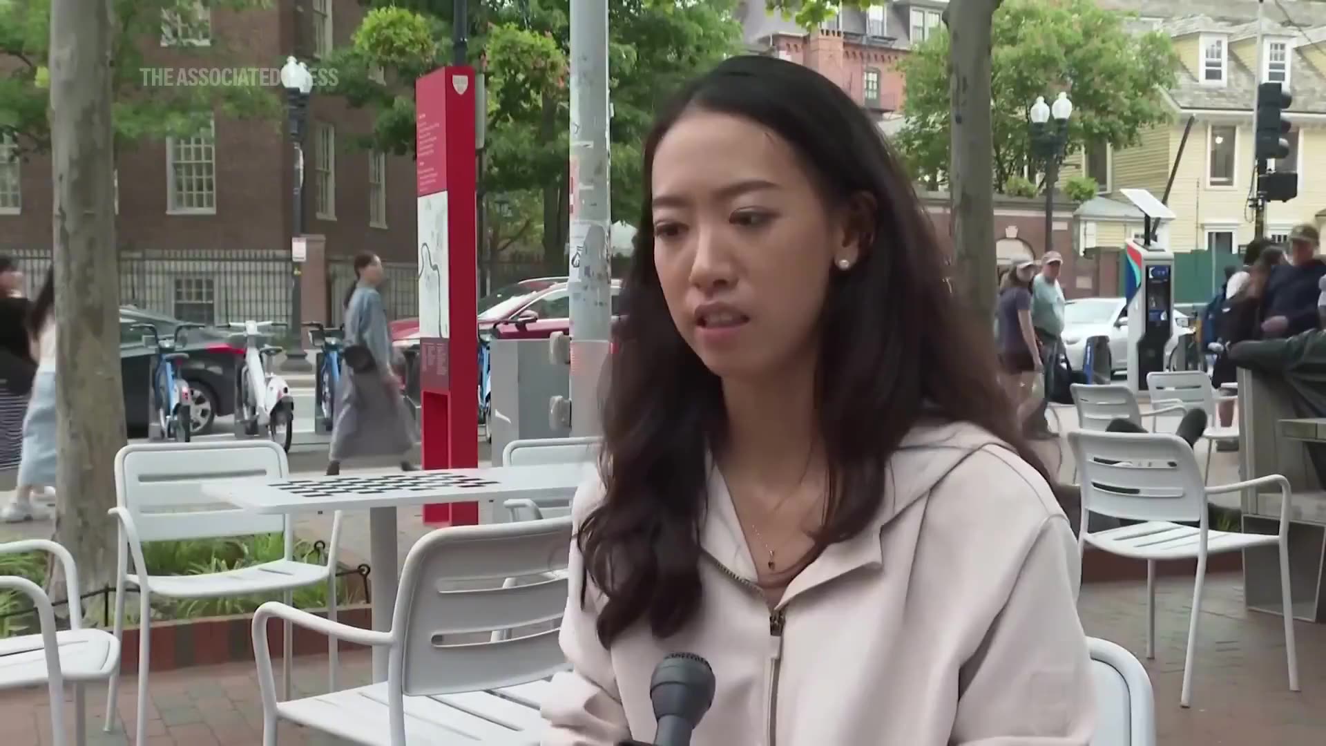 LMAO fight breaks out behind Harvard grad doing an interview. How 2025
