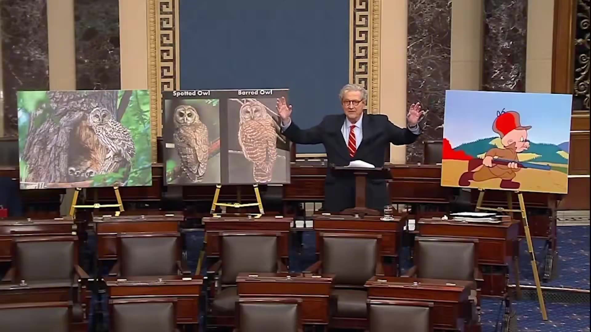 Senator John Kennedy exposes the US Department of Interior under Biden created a DEI ...