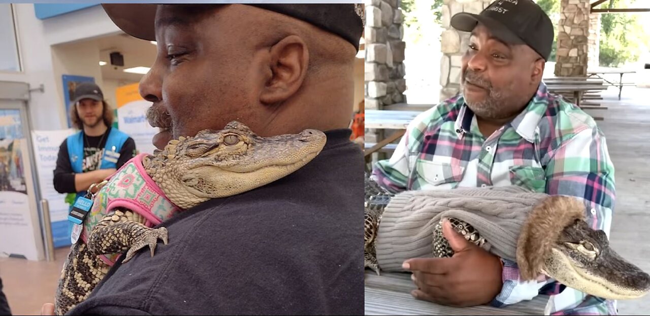 Pennsylvanias Emotional Support Alligator Kicked Out of Walmart! You Wont Believe Why!
