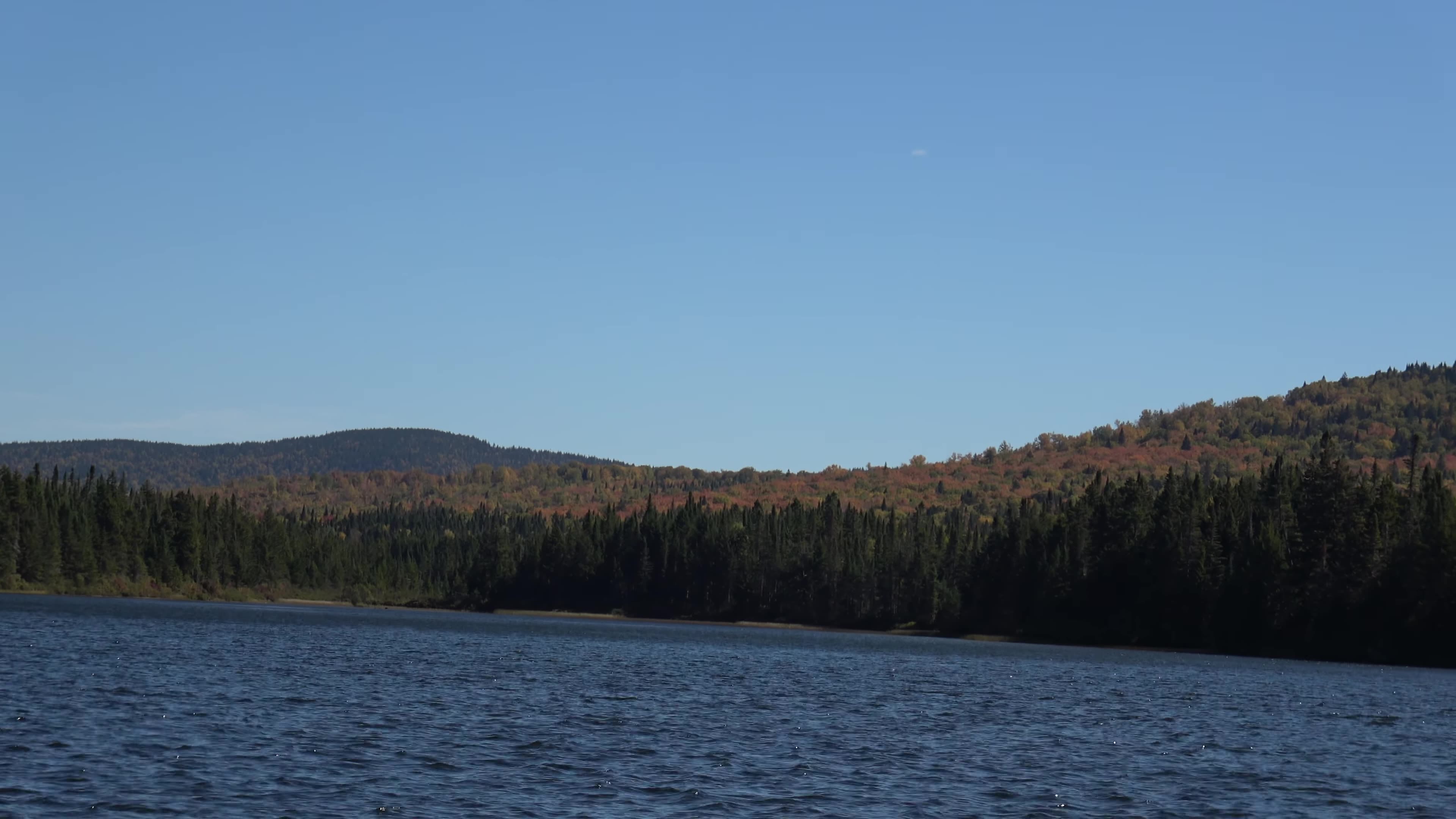 Fall Foliage