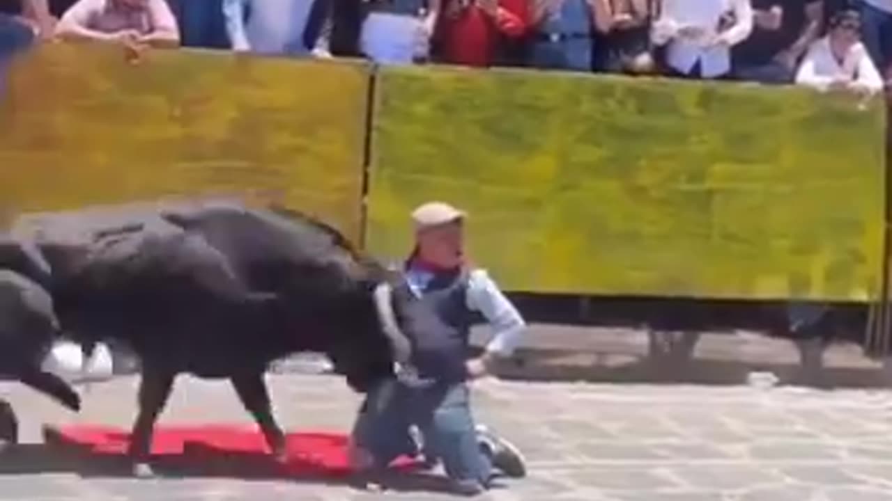 Bull Wins Again