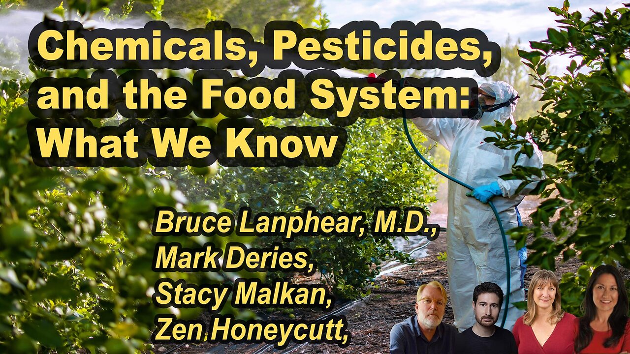 Chemicals, Pesticides, and the Food System: What We Know - Honeycutt, Lanphear, Malkan, DeVries
