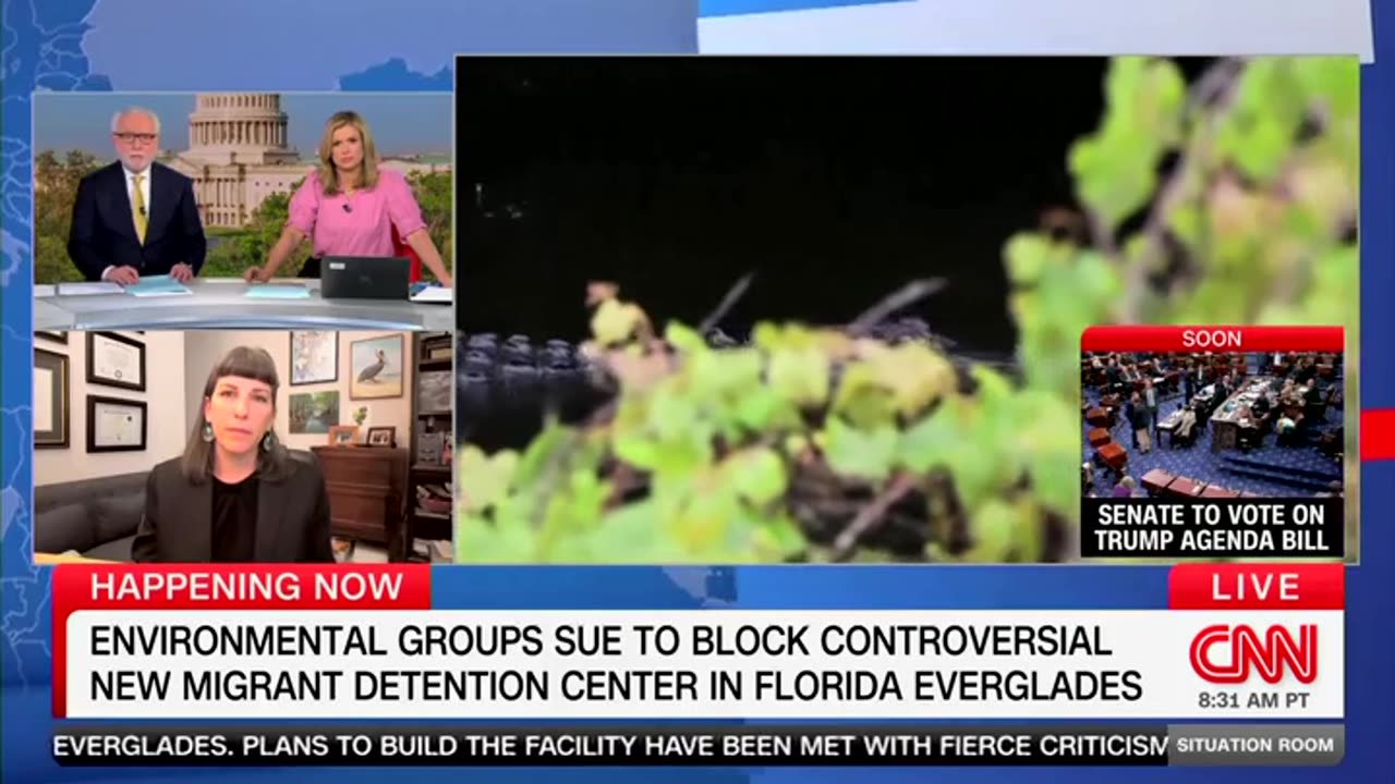 Environmentalist Wacko Says Shes More Worried About Wildlife Than People At Alligator Alcatraz