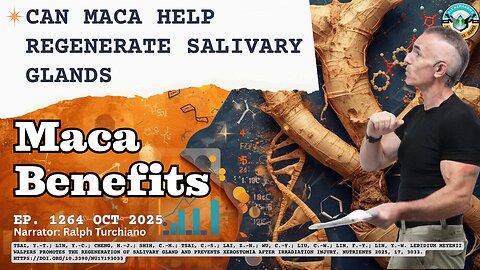 Can Maca help regenerate salivary glands Ep. 1264 Oct 2025