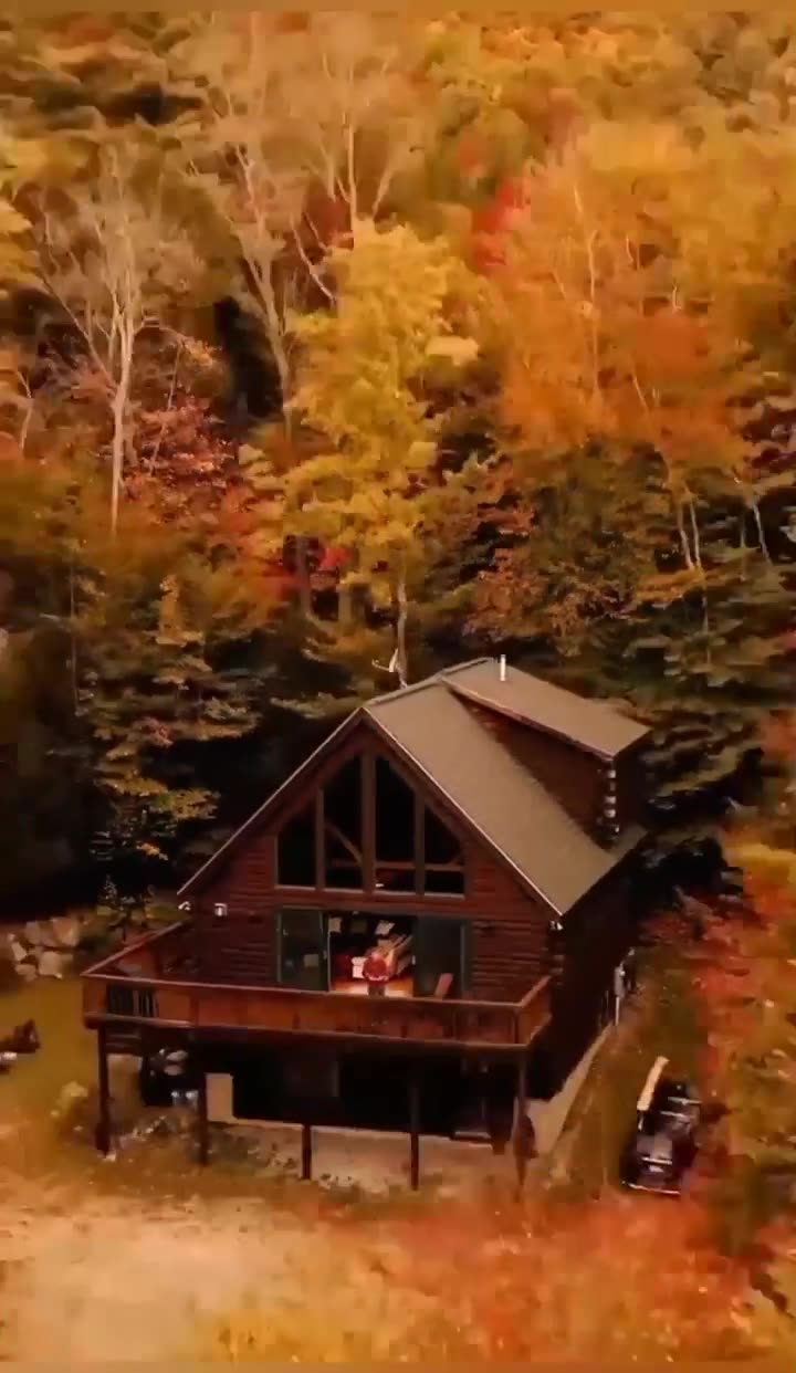 Autumn Leaves🍁🍂
