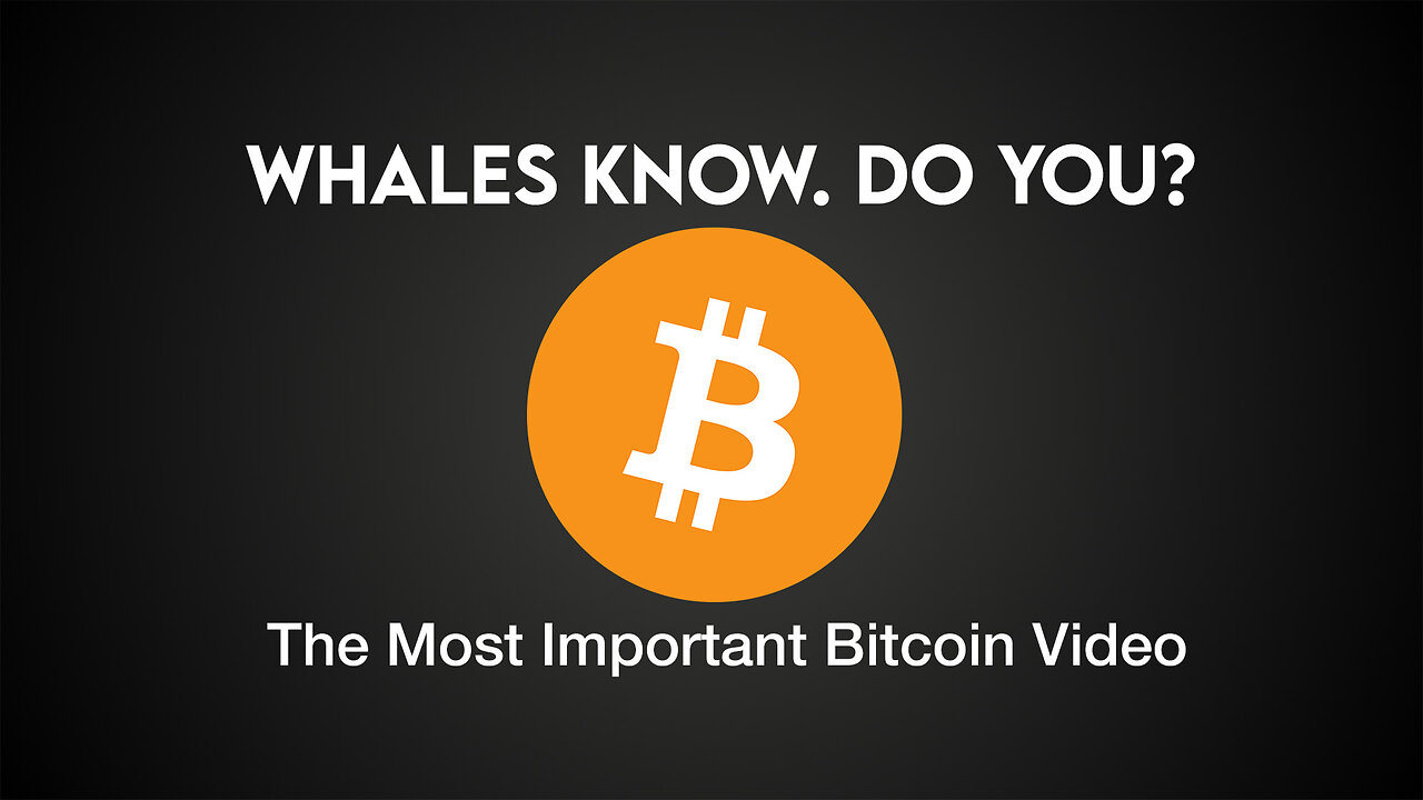 The Most Important Bitcoin Video Youβll Watch This Year