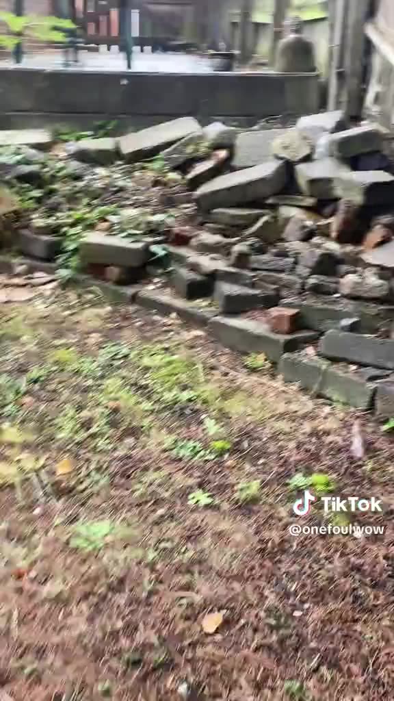 CAVES IN BACKYARD