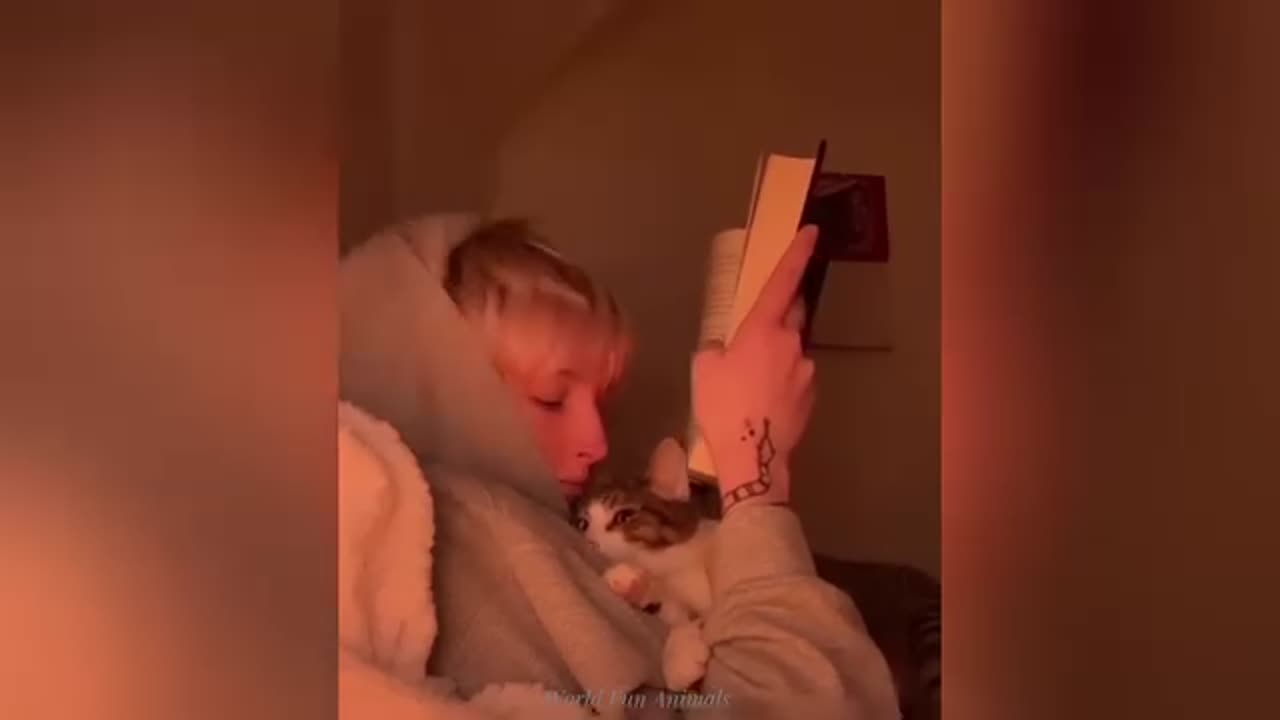 Funny animals video 😂! Cute dog video 😂! Try not to laugh !