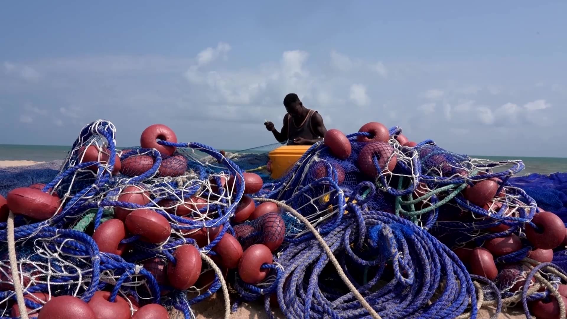 Activists fight to save Nigerias sea turtles from pollution, poachers