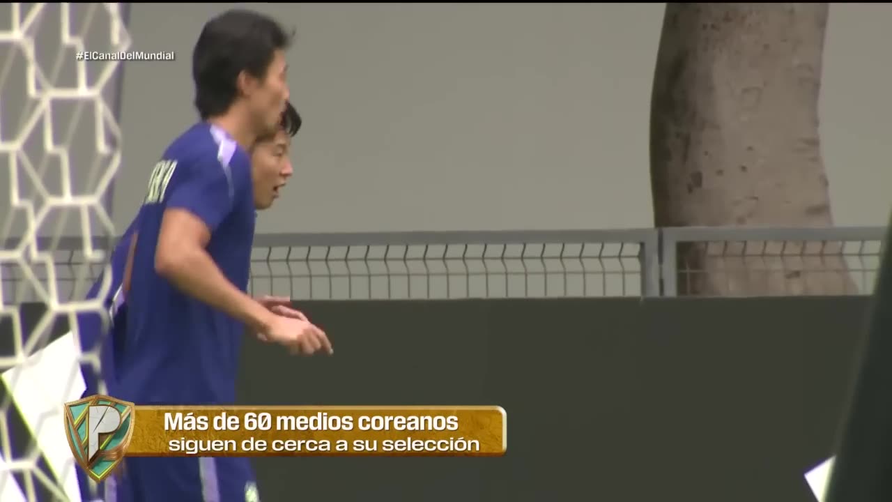 Paises-Bajos-Empata-con-Japon-