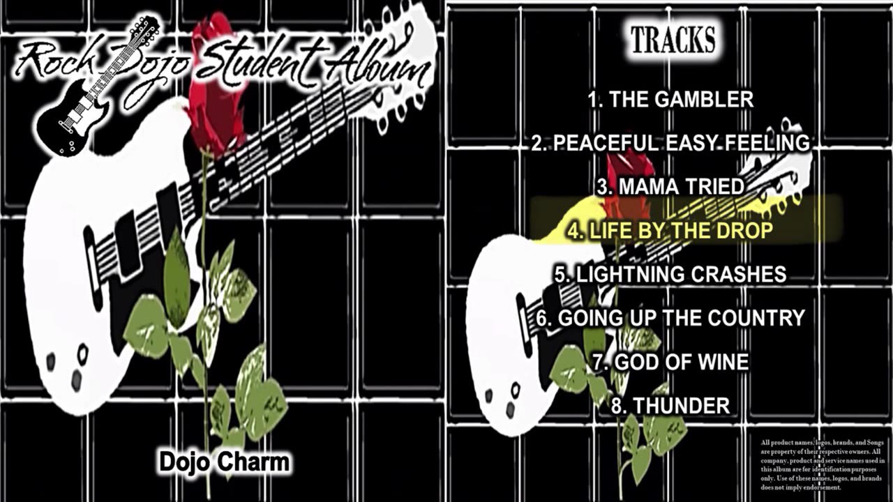 Rock Dojo Student Album #44 Dojo Charm: Life By The Drop (Stevie Ray Vaughan Cover) Track 4