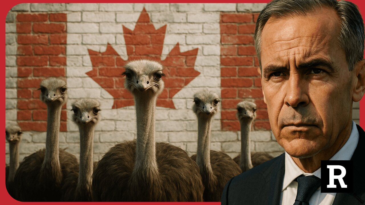 Save Canadas Ostrich Farms! Protests Erupt Over Government Tyranny in Canada | Redacted News