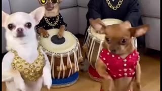 The one in red has killed it