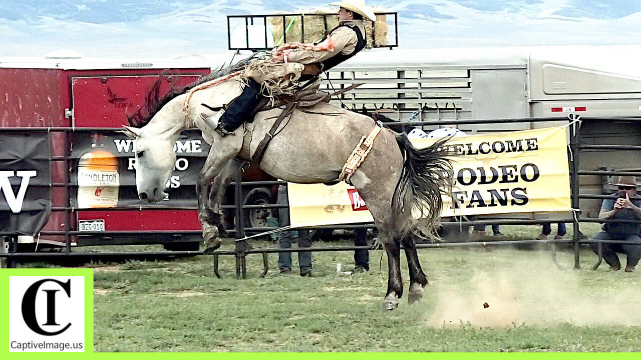 Pasture Bronc Riding 1 - 2024 Tom Horn Days Cowboy Rendezvous | Saturday