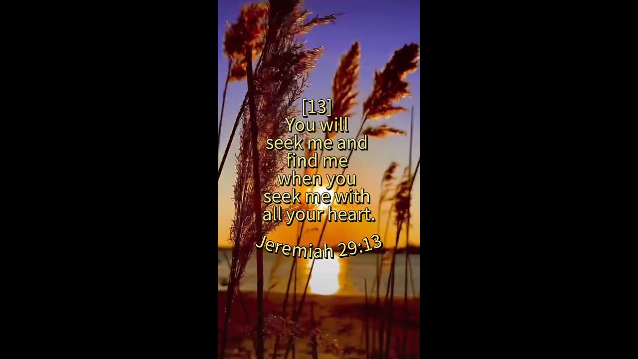 Jeremiah 29:13 (NIV)