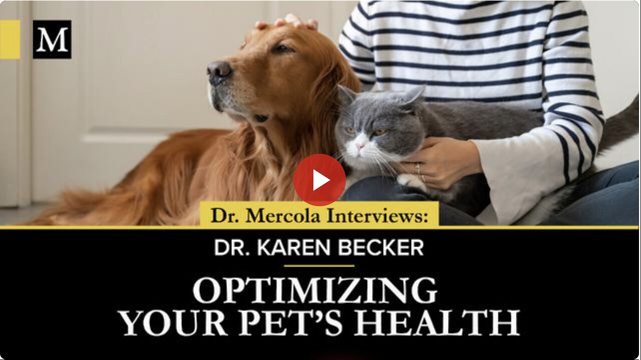 Optimizing Your Pets Health - Interview with Dr. Karen Becker