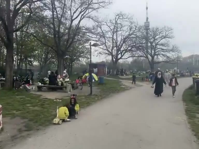Oh, Vienna..