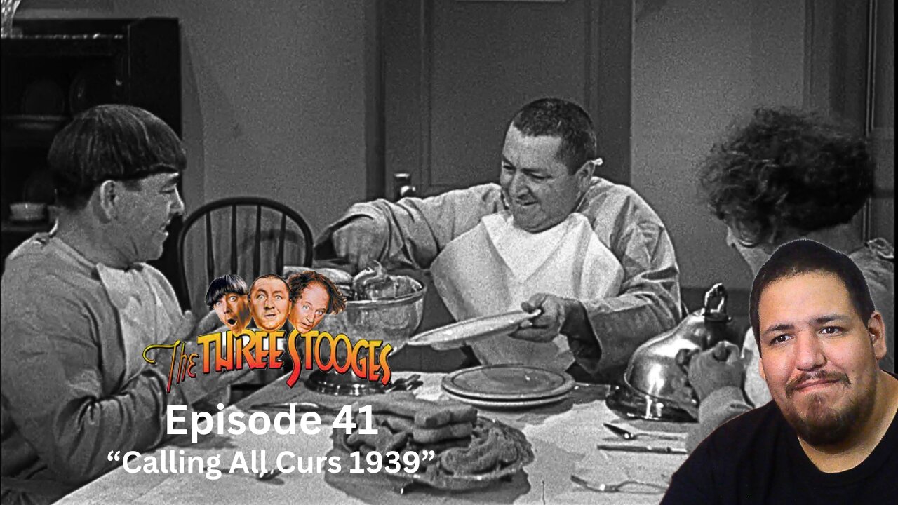 The Three Stooges | Episode 41 | Calling All Curs 1939 | Reaction