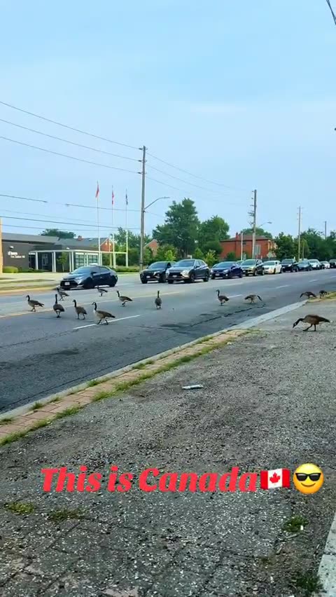 Welcome to Canada 🇨🇦