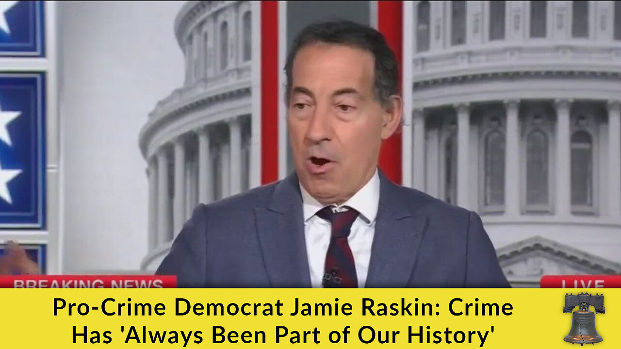 Pro-Crime Democrat Jamie Raskin: Crime Has Always Been Part of Our History