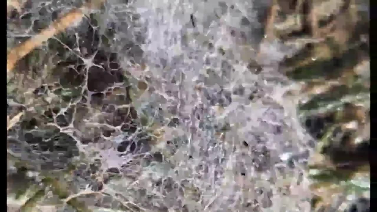 Sky Frequencies Just EXPLODED – What Theyre Hiding Is Massive