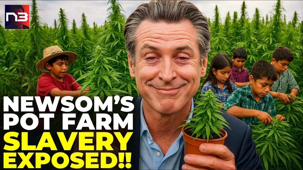 Alert: Newsoms DONOR Caught Using CHILD SLAVES on Marijuana Farm - 10 Kids RESCUED!
