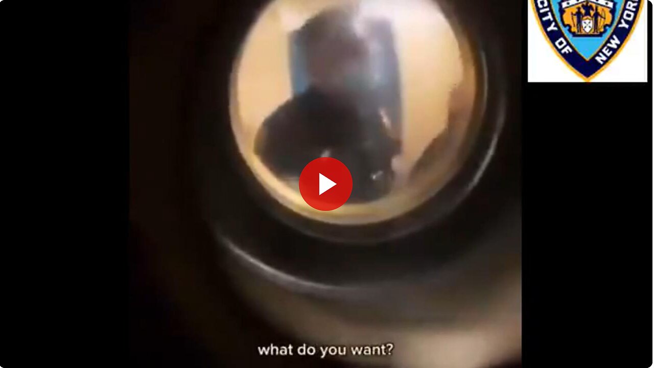 When the cops come a knockin who is gonna do the talkin? What would you do?🤣🤣🤣