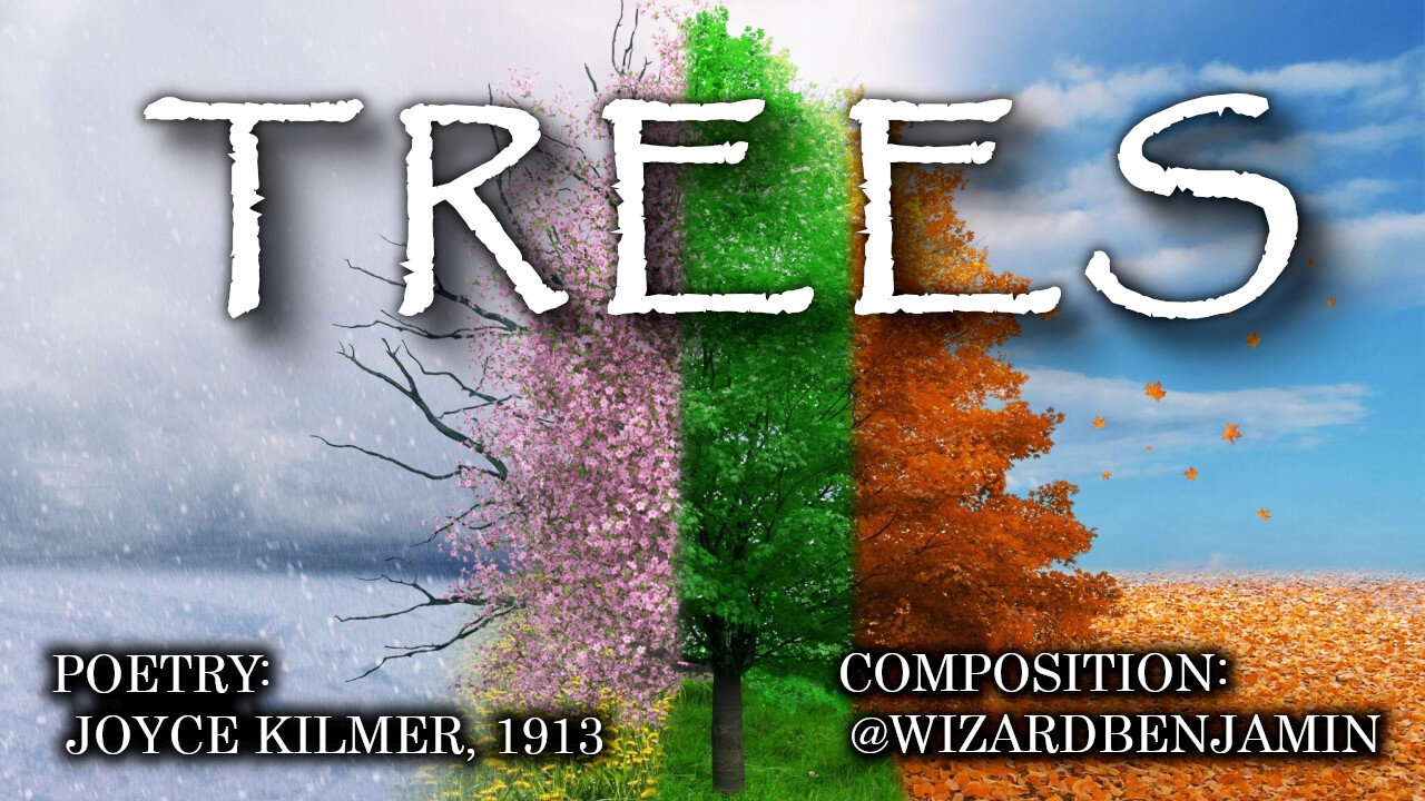 「AI RADIO」TREES