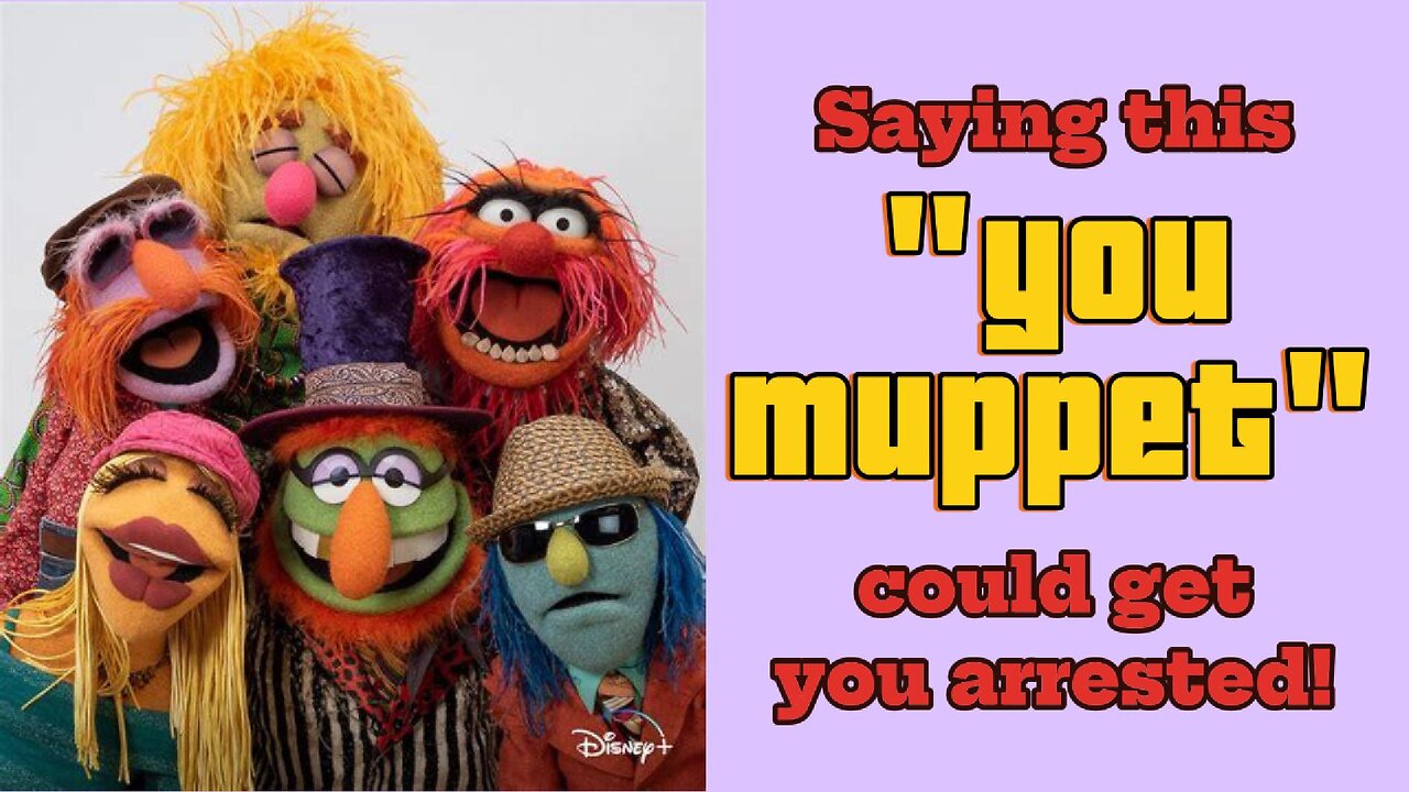 Man arrested for using the term muppet, causing alarm and distress