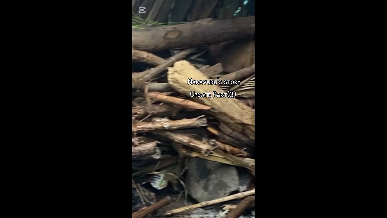 NAKAVUBUs story part 3