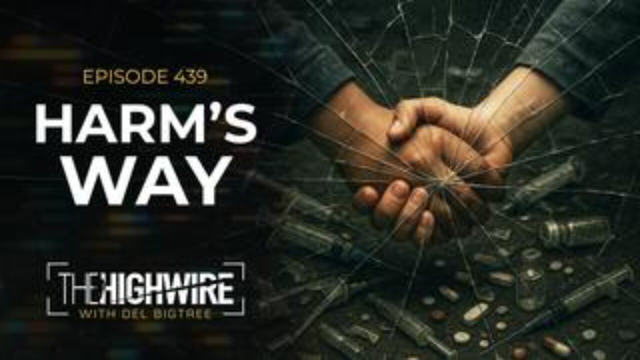 The Highwire -Episode 439: Harms Way