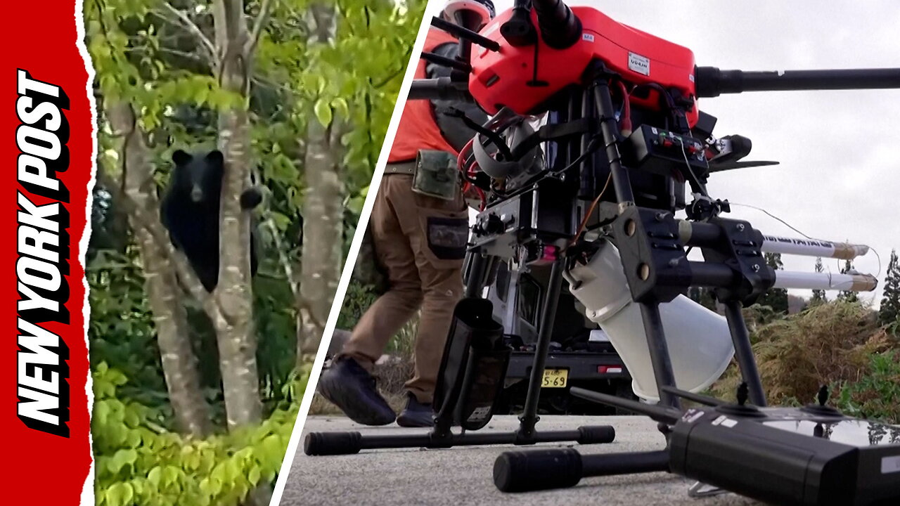 Barking drones take flight as Japan battles increasing bear attacks