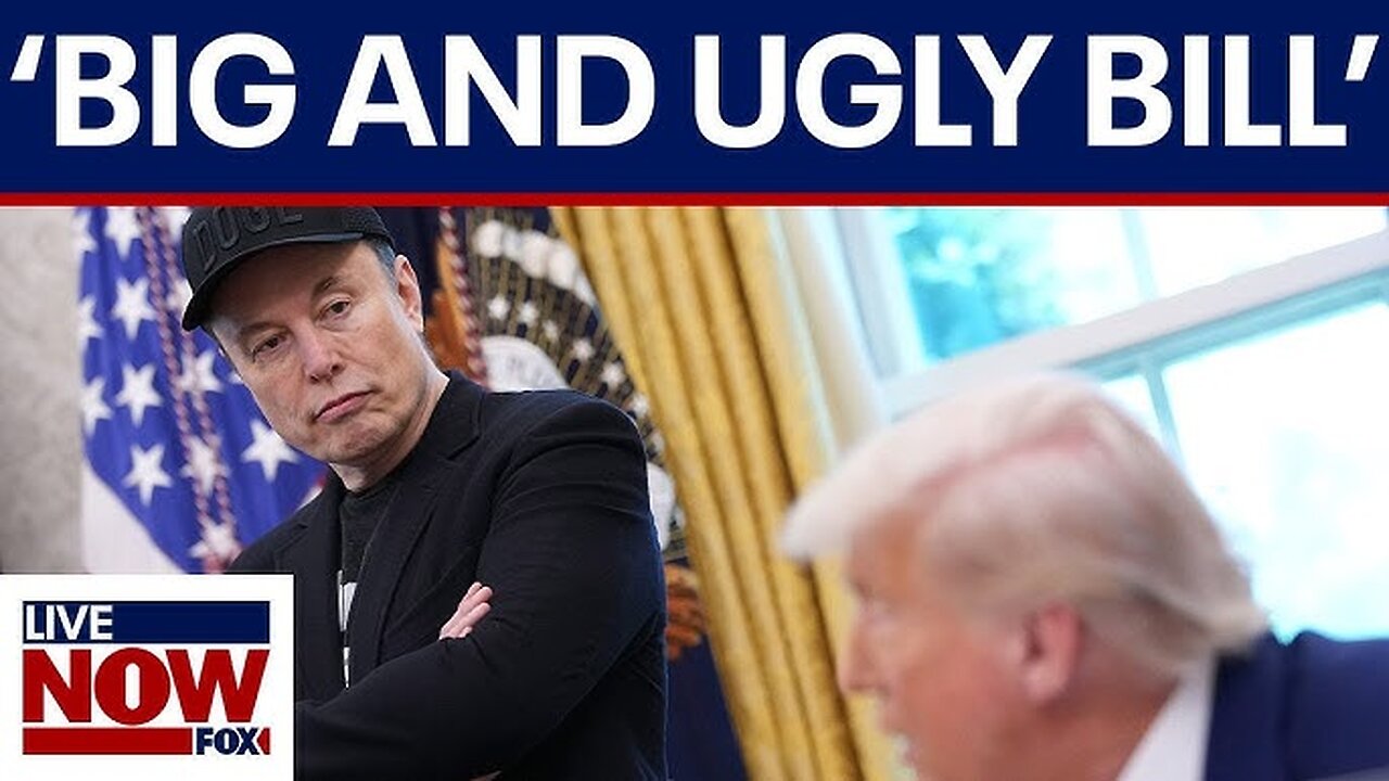 Elon Musk: Without Me, Trump Would Have Lost the Election