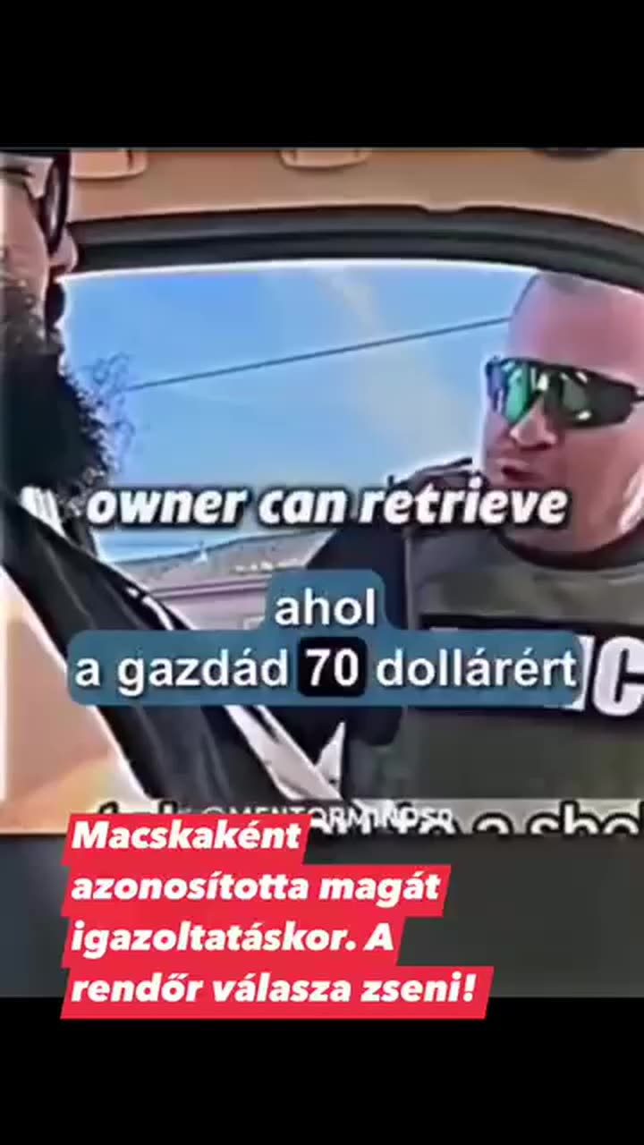 Nem mindig jó ötlet macskának azonosítani magad