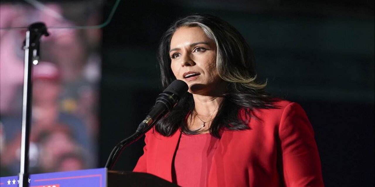 Tulsi Gabbard Is Lying Says Ex-CIA Official Who Oversaw Russian Intelligence on the 2016 Elections