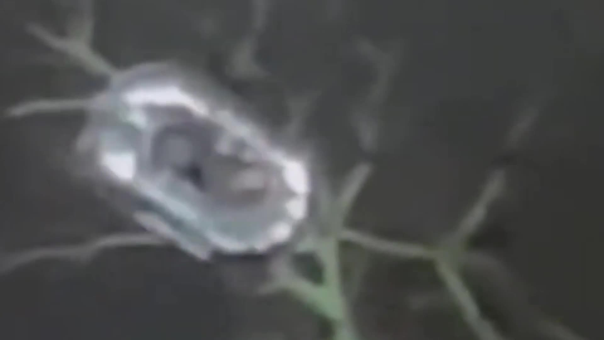 Scientists discover 20 mile long UFO that may appear by 10/27/25!! False flag warning at the end!