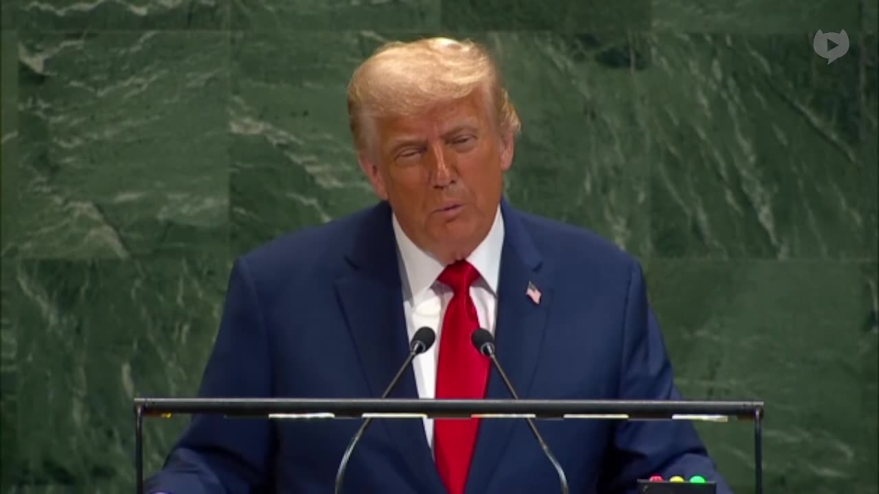Trump: These are the two things I got from the United Nations, a bad escalator and
