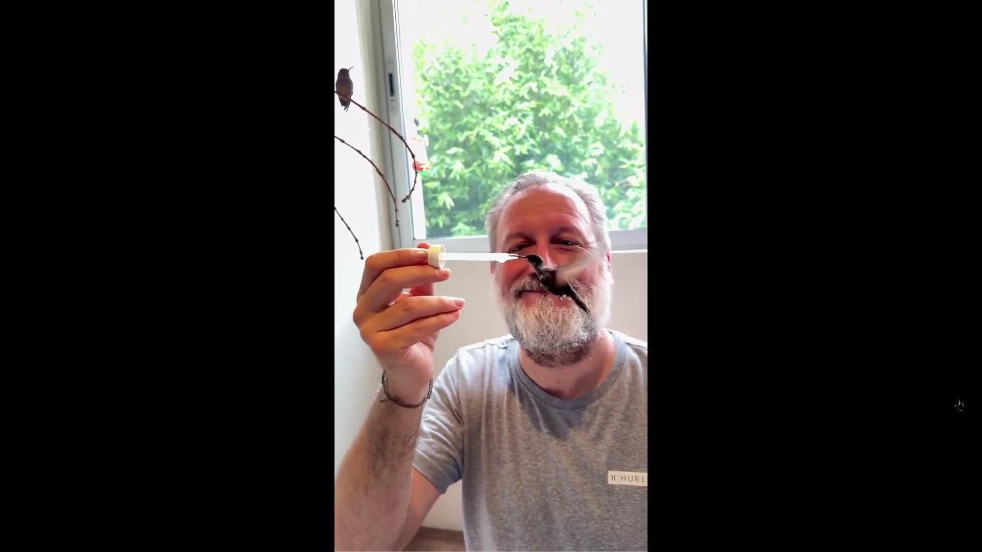 Such patience - Hand feeding hummingbirds - 30 sec clip