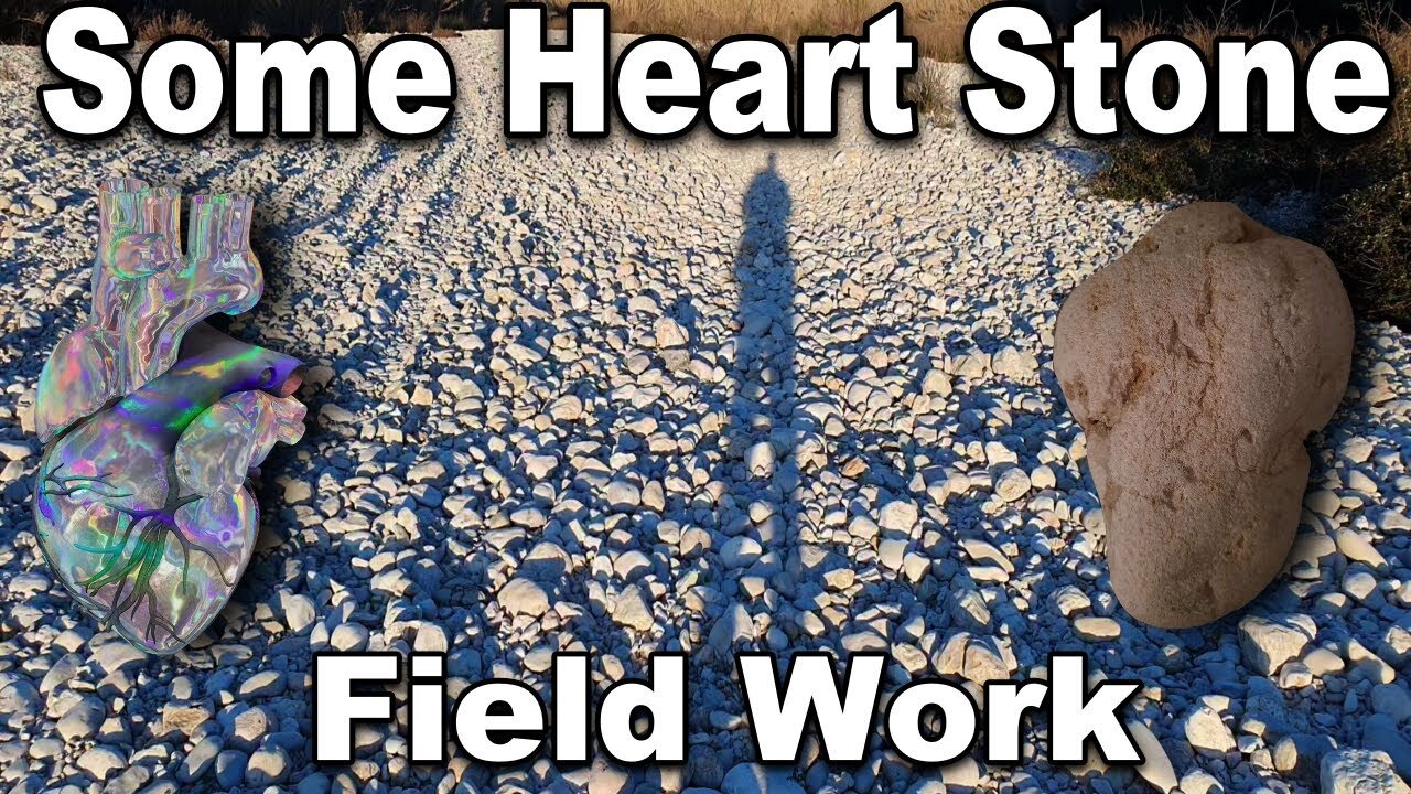 Some Heart Stone Field Work