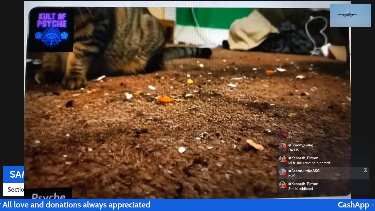 12/03/25 Sammannyc VOD: we back $2 tts $ 3 media