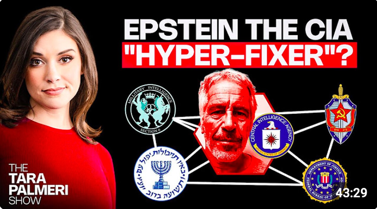Ex spy explains Epsteins value to CIA & MOSSAD for BLACKMAILING OPERATIONS